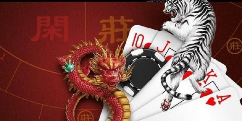 Tổng quan chung về Rồng Hổ F168