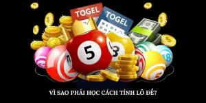 vi-sao-can-hoc-cach-tinh-lo-de.jpg
